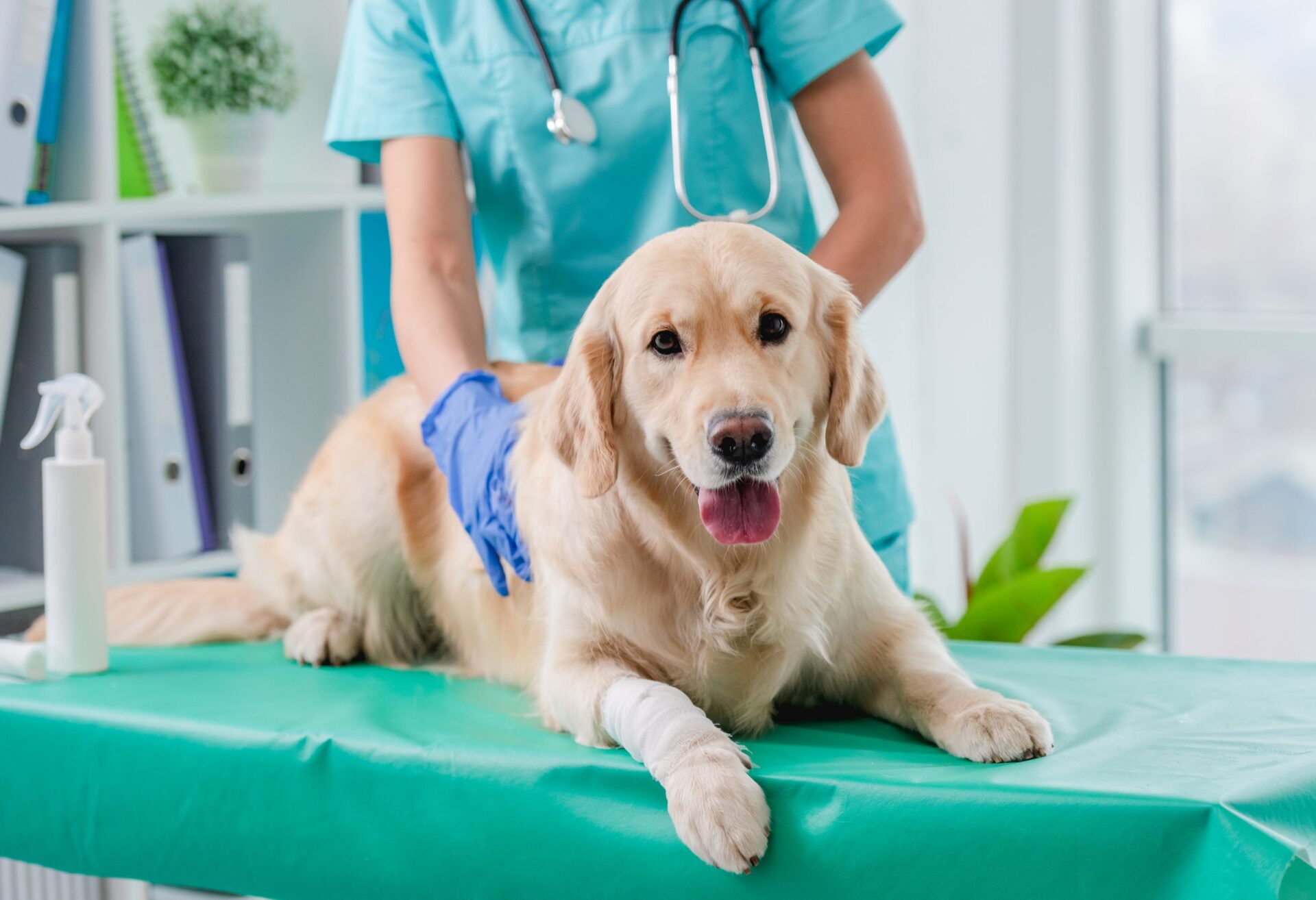 Productos Veterinarios